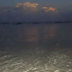 Meet your Posher, Char